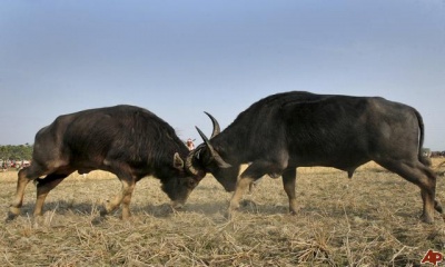Bhu